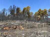 El incendio de Sierra de Gata sigue activo y con nivel 2 de peligro pero con una evolución "favorable"