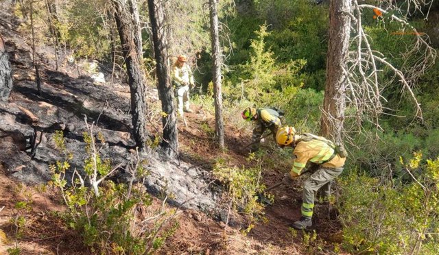 Incendio en Cañamares