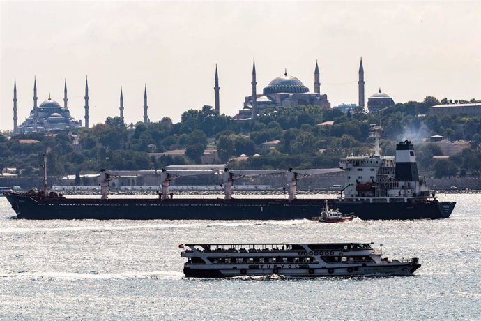 El carguero Razoni, con bandera de Sierra Leona, ancla en el Bósforo frente a Estambul.