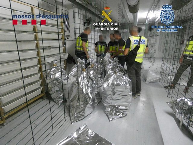 Efectius policials durant l'operació