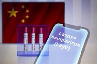 ECDC: el riesgo de infección en la UE del henipavirus de Langya es "muy bajo"