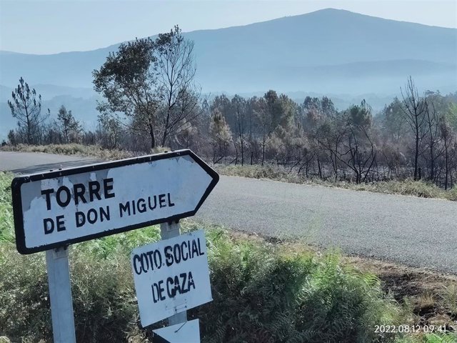 Zona afectada por el incendio en Sierra de Gata