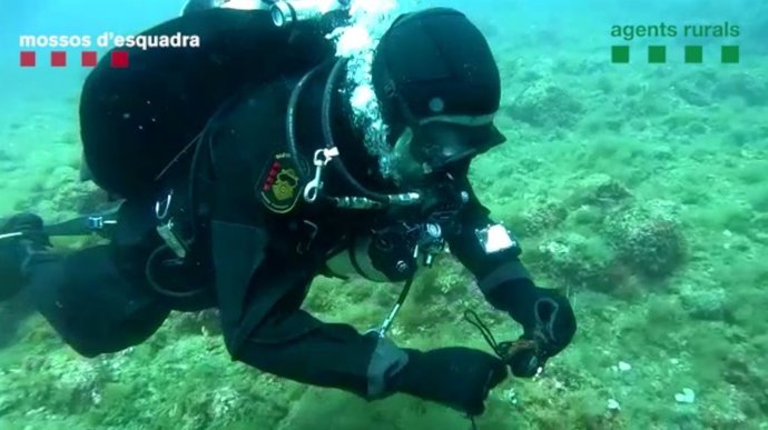 Submarinista retirant palangre a les illes Medes