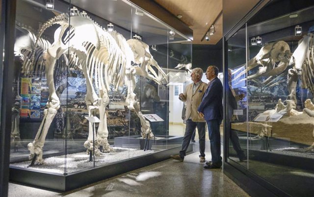 El vicepresidente, consejero de Educación y Universidades, Enrique Ossorio, visita el Museo Arqueológico y Paleontológico Regional