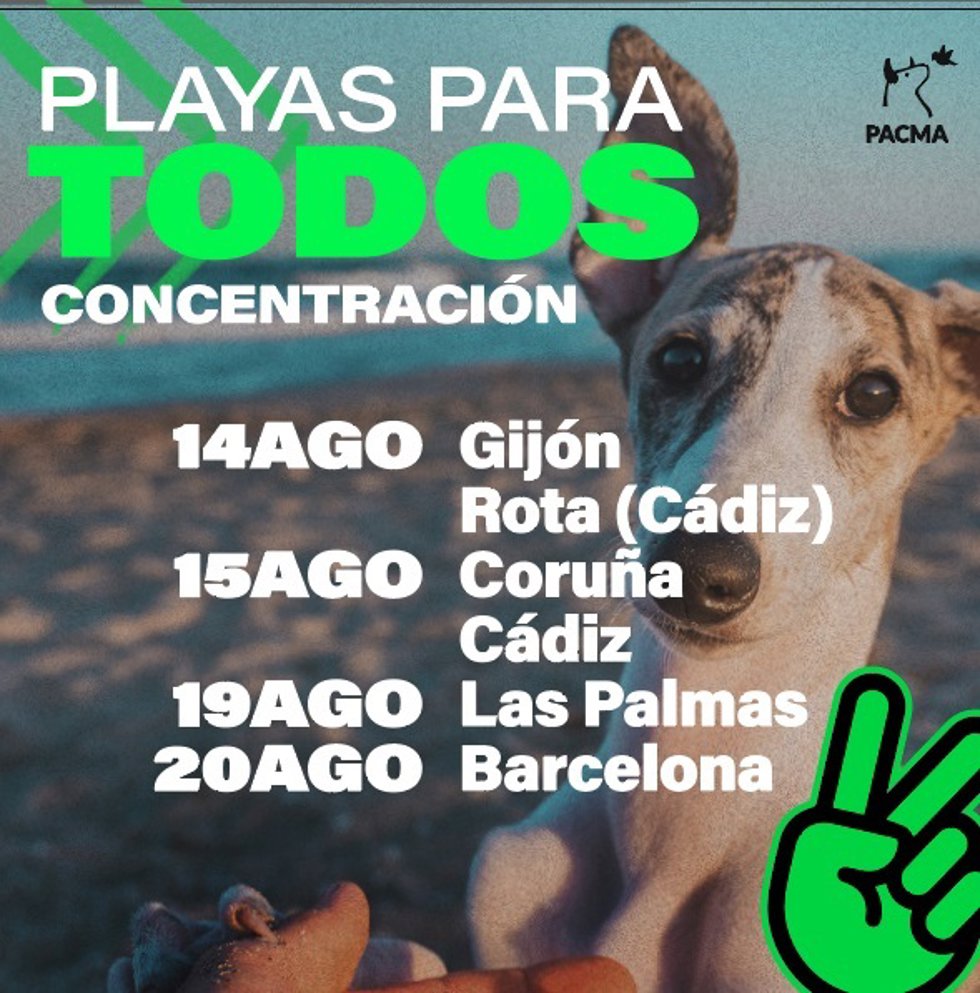 Concentraciones en seis ciudades españolas para reclamar el libre acceso a las playas de los animales.