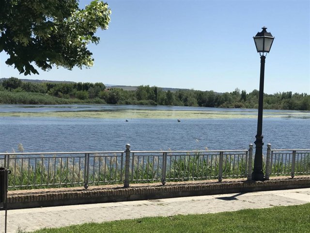 Archivo - El Tajo a su paso por Talavera