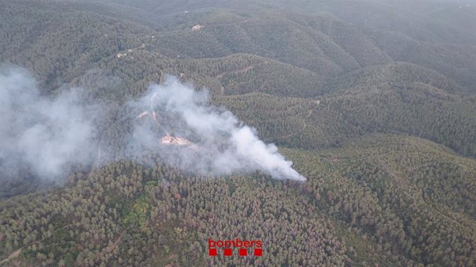 Incendio forestal en Puig d'en Batet (Girona). - Archivo