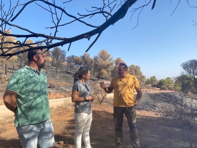 Visita a la zona afectada por el incendio de Jódar