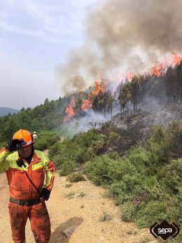 Archivo - Imagen de archivo de un bombero ante un incendio forestal en Ibias el 18/06/2022.