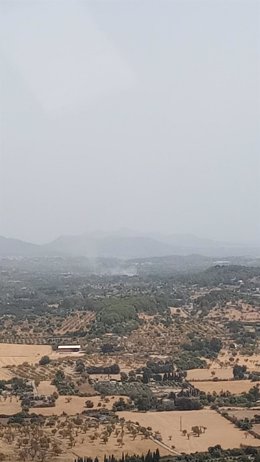 Declarado un incendio forestal en el torrent de Massanella, en Selva (Mallorca).