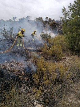 Efectivos trabajan en la extinción del incendio declarado en el paraje de La Patoja, en el termino municipal de Jumilla (Murcia)