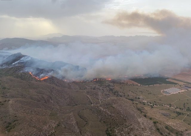 Incendio forestal declarado en un paraje de Jumilla (Murcia)