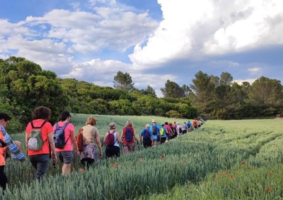 Ruta organizada por la Asociación Española Contra el Cáncer en Navarra.