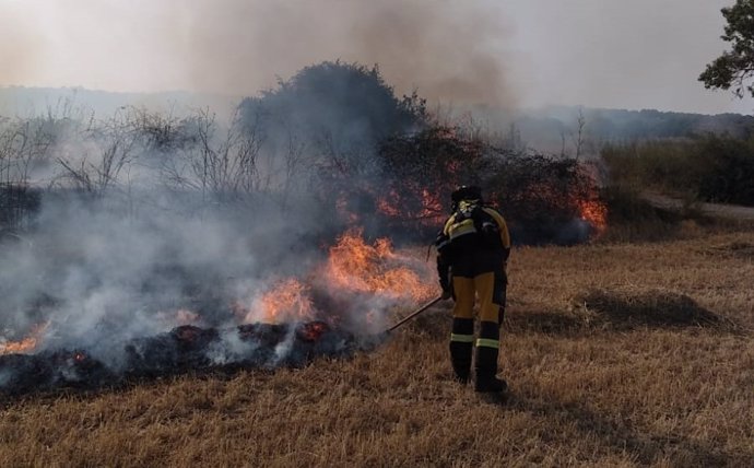 Declarado un incendio en el torrent de Banderola (Mallorca).