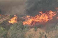 Más de 200 voluntarios de Borja hacen turnos para atender a los 75 evacuados por el incendio de Añón de Moncayo