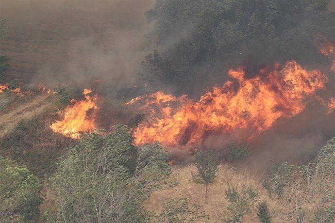 Vistas de las llamas del incendio, a 13 de agosto de 2022, en Añón de Moncayo, Zaragoza, Aragón (España). 