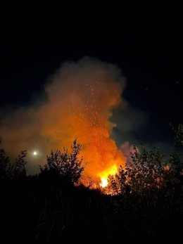 Incendio en una de las islas del Tajo a su pado por Toledo.