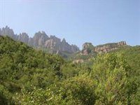 La Generalitat desactiva el nivel 3 del Plan Alfa contra incendios forestales