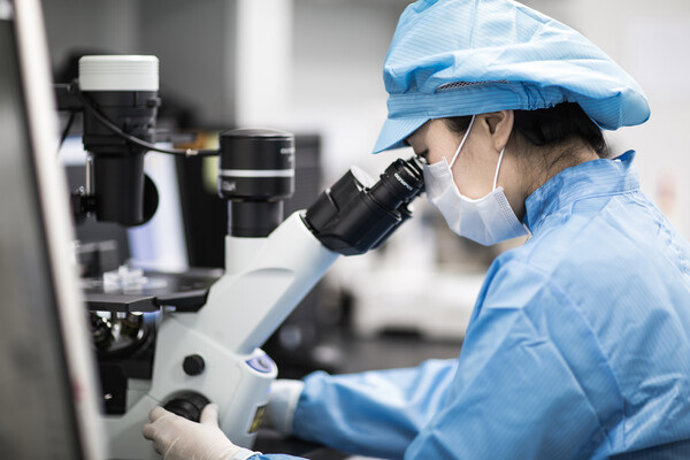 Daewoong Pharmaceutical Announces US FDA Clearance of IND Application for DWP213388, First-in-class Irreversible Oral Dual Acting inhibitor for Autoimmune Diseases (PRNewsfoto/Daewoong Pharmaceutical Co., Ltd)