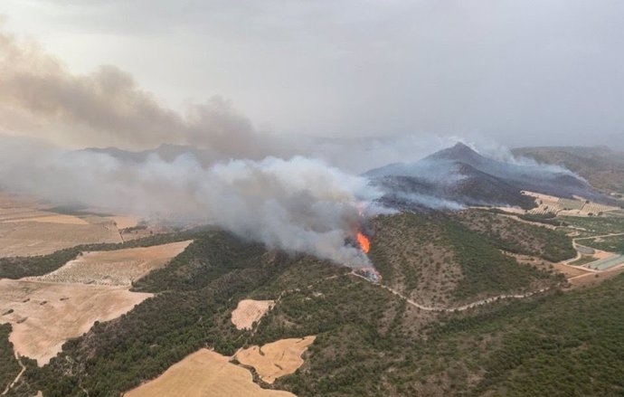Incendio declarado en el paraje de La Patoja, en Jumilla (Murcia)