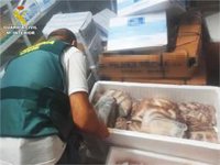 Intervienen una tonelada de pescado en Alicante, Altea y Elche por no reunir los requisitos para su comercialización