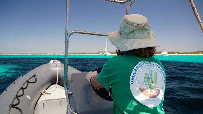 Una trabajadora del servicio de vigilancia de posidonia.