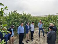 La Comunidad apoya a la plataforma AgritechMurcia en la apertura de nuevos mercados en Kazajistán, Uzbekistán y Georgia