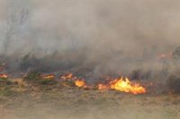 Estabilizado el incendio forestal de Añón del Moncayo