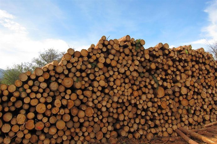 Archivo - Madera apilada en Barazar