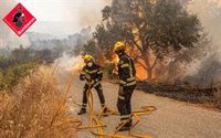 Otras cinco localidades evacuadas por el incendio en Vall d'Ebo, que llega al Comtat