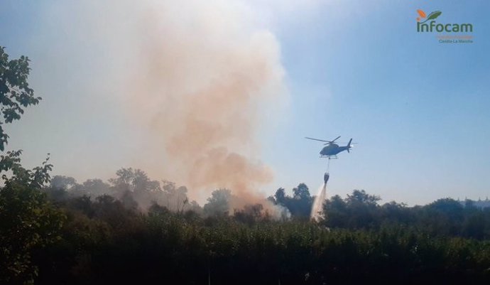 Incendio en una isla del Tajo en Toledo.