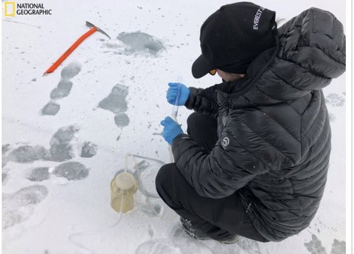 Tracie Seimon del Programa de Salud Zoológica de WCS recolectando una muestra de eDNA