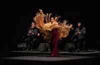 Museg 2022 de Segovia cierra con "gran éxito" su 47 edición