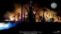 Cuatro vehículos y una decena de bomberos sofocan un incendio en un vivero de La Rinconada (Sevilla)