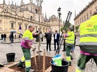 El Ayuntamiento de Sevilla espera la autorización de Patrimonio a los toldos en la Avenida y a la plantación de árboles