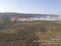 El Infoca cifra en 24 hectáreas la superficie afectada por el fuego en Andújar (Jaén)