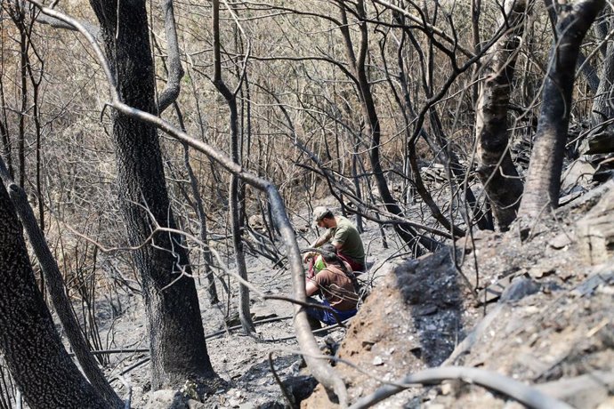 Voluntarios observan exhaustos los daños causados en la Sierra de Caurel tras el incendio, a 23 de julio de 2022, en Lugo, Galicia, (España). Las hectáreas quemadas en la Sierra de O Courel se mantienen en 10.000. O Courel, es una de las comarcas con ma
