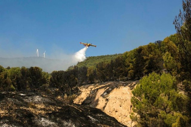 Imagen de archivo del incendio forestal de Añón del Moncayo (Zaragoza).