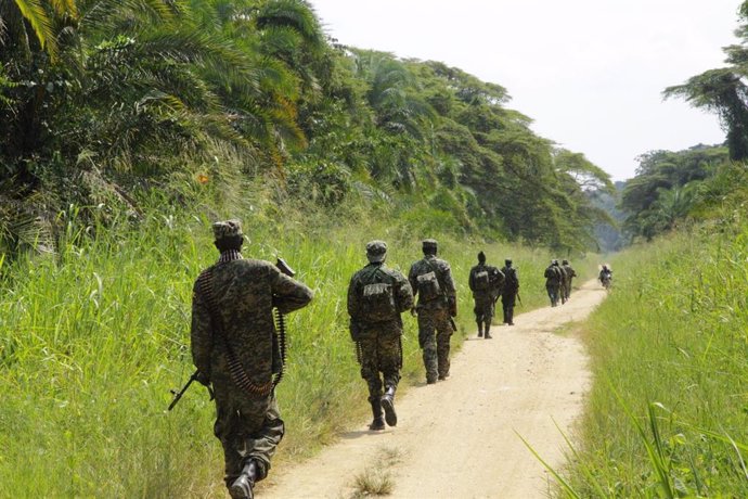 Archivo - Soldados de República Democrática del Congo (RDC) en una imagen de archivo