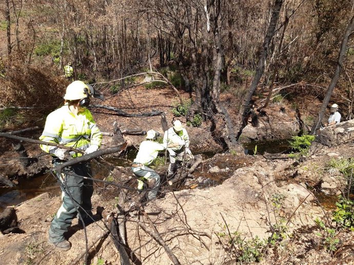 Trabajos de restauración forestal y medioambiental en ríos afectados por el incendio de la Sierra de La Culebra.