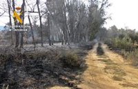 Investigan a un vecino de Villagarcía de la Torre por un incendio forestal en una finca en Fuente del Maestre