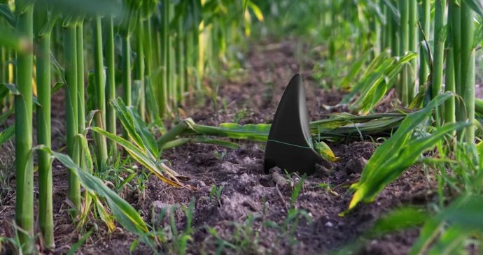 Sensor biológico para la agricultura de precisión