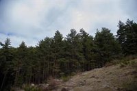 Aprobado Plan de Ordenación de Recursos Naturales del Alto Najerilla como paso previo a la declaración de parque natural