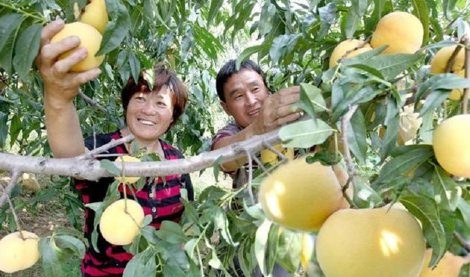 Comunicados Internacional