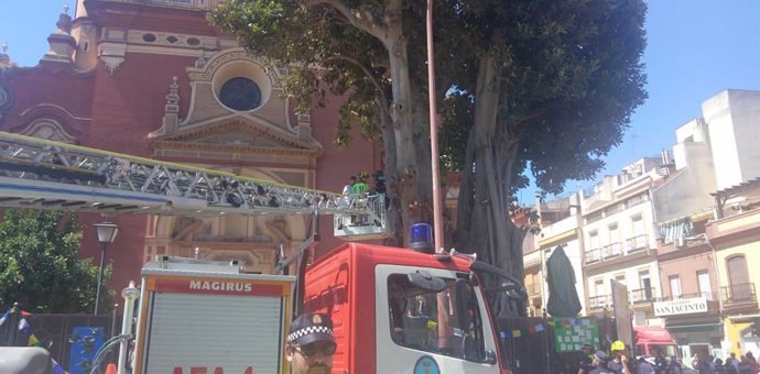 Momento en el que los bomberos bajan a uno de los jóvenes que ha protestado por la tala del ficus de San Jacinto en Sevilla.