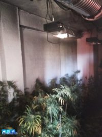Hallada una plantación de marihuana en la vivienda incendiada con un herido en Granada