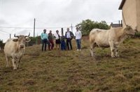 Más de 240 ganaderos y casi 10.000 reses pueden sumarse a la IGP 'Carne de Calidad'