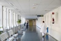 Canarias notifica dos nuevos casos de viruela del mono y nueve en estudio en el último día