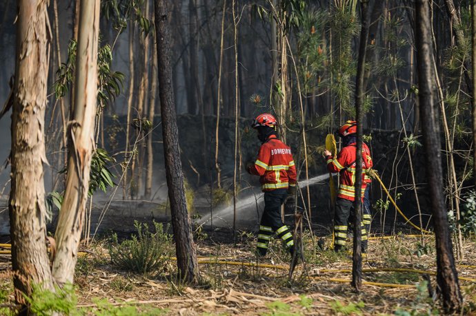 Imagen de archivo de bomberos portugueses en Esposense