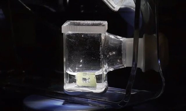 Hojas artificiales que reducen el CO2 en el laboratorio
